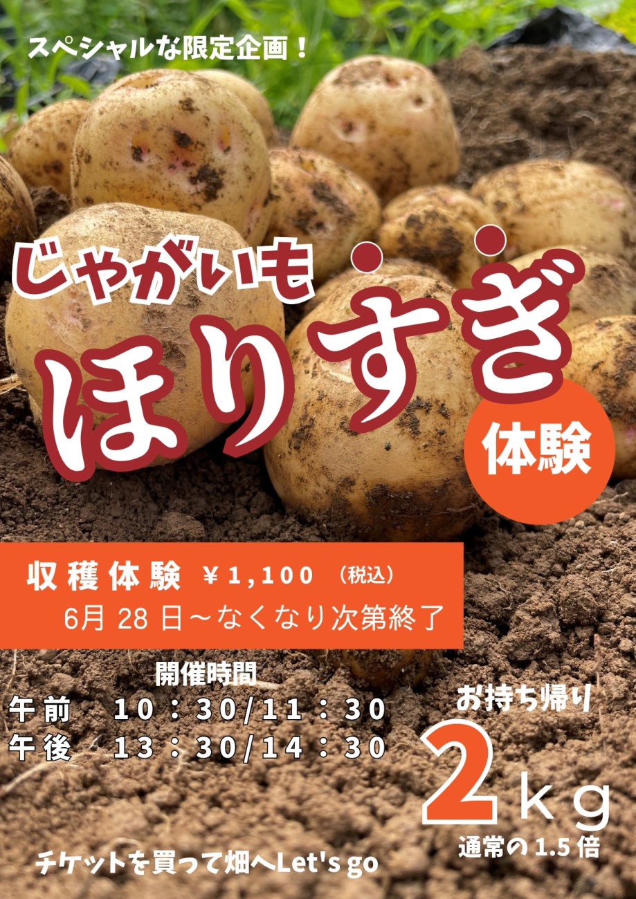 じゃがいの収穫体験開始🥔 | 酪農王国オラッチェ