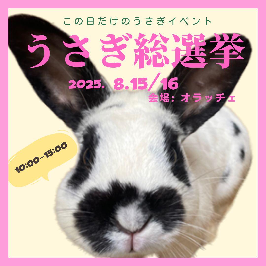 うさぎ総選挙 うさぎ48 | 酪農王国オラッチェ